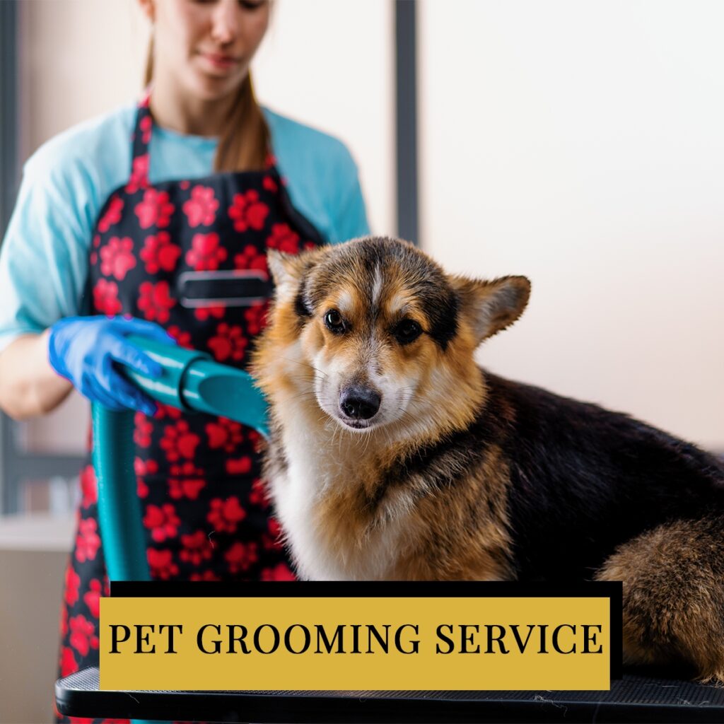 Pet Grooming Service slide