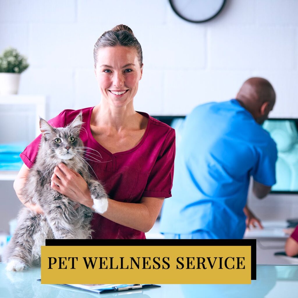 Pet Wellness Service slide jpg