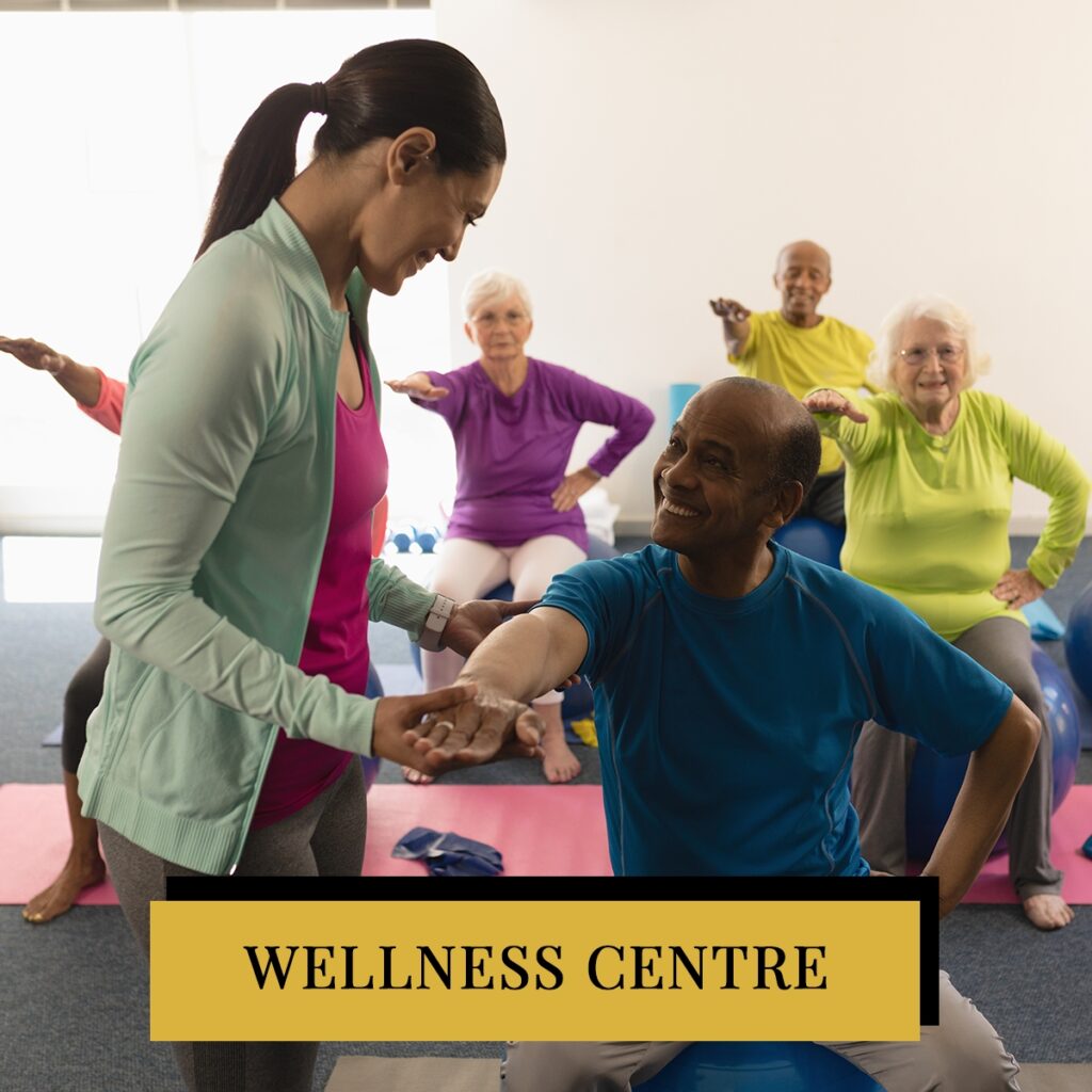 Wellness Centre slide